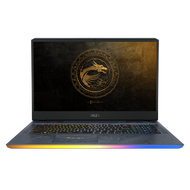 MSI GE76 DRAGON TIAMAT 17.3" 300Hz 3ms Gaming Laptop Intel Core i7-10870H RTX3080 64GB 2TB NVMe SSD Win10 VR Ready