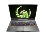 MSI Alpha 17 A4DEK-006, 17.3" 144Hz Gaming Laptop AMD Ryzen R7-4800H RX5600M 16GB 512GB NVMe SSD Win10, ALPHA17A006