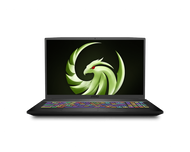 MSI Bravo 15 A4DDR-248, 15.6" 144Hz Gaming Laptop AMD Ryzen R5-4600H RX5500M 8GB 512GB NVMe SSD Win10, BRAVO15248