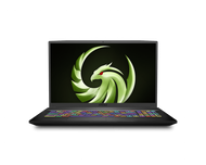 MSI Bravo 17 A4DDR-082, 17 17.3" 144Hz Gaming Laptop AMD Ryzen R7-4800H RX5500M 16GB 512GB NVMe SSD +1TB Win10, BRAVO17082